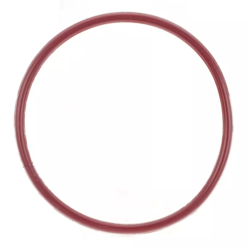 FEP/PFA इन्क्याप्सुलेटेड O-Ring