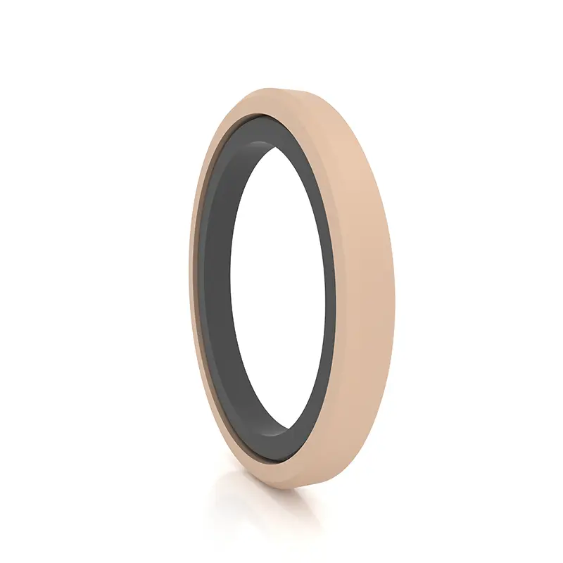 High Pressure Seals For Piston Holes High Pressure Seals For Piston Holes