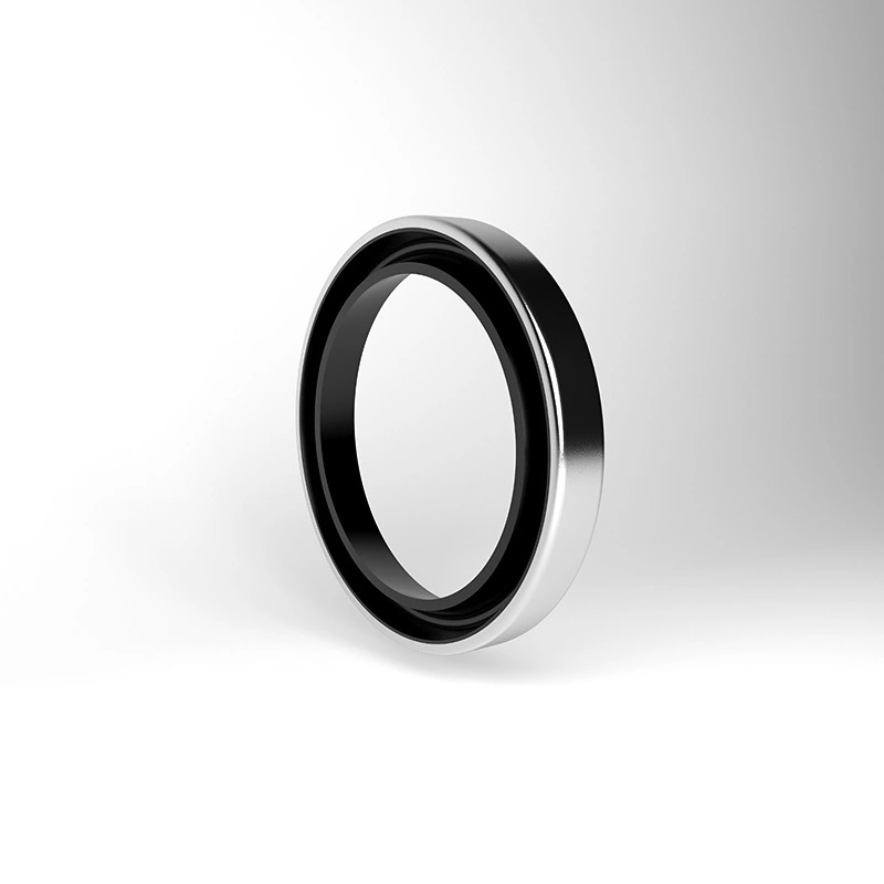 Hydraulic Dust Seals Hydraulic Dust Seals