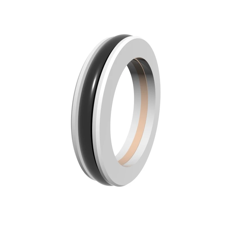 High Pressure Rotary Seals