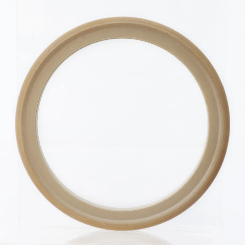 वसन्त-उर्जित अनुहार सील